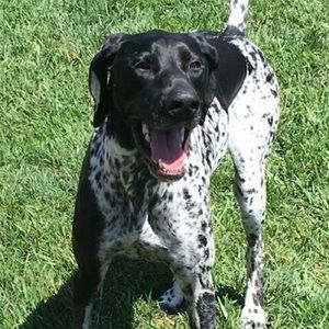 Meet your Posher, Caitlyn